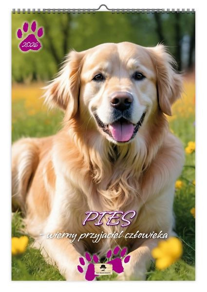 Kalendarz A3 VD.12 Pies wierny przyjaciel człowieka Pan Kalendarzyk